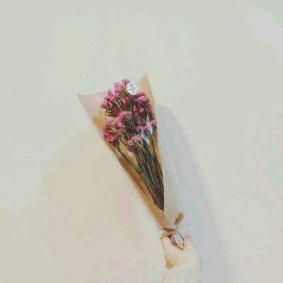 虫虫联盟免费版下载